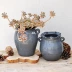 Dấu vết của chậu cây mọng nước chậu gốm pháp sư đen đống cũ hoa lớn thở bằng đất sét hai lá - Vase / Bồn hoa & Kệ Vase / Bồn hoa & Kệ