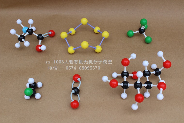 ZX-1003-large medium size organic molecular structure model 