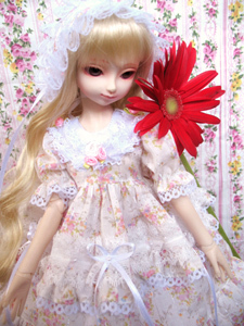 taobao agent ☆ BJD 1/4 giant baby-dressing pink rose ~ (changed the cloth ~~~)