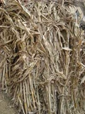Различная кукурузная обработка зерна