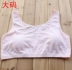 XL chất béo MM cotton junior học sinh trung học phát triển thời gian áo ngực áo ngực vest bông đồ lót mà không cần vòng thép