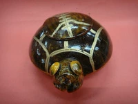 Hainan Sanya National Specialty Cocos Shell Craft Кокосовые кокосовые черепахи/традиционные украшения Hainan // Beautiful