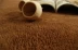 Chỗ cashmere san hô ngủ ngắn sang trọng phòng thảm sống thảm chống trơn trượt có thể được tùy chỉnh vận chuyển - Thảm thảm nỉ Thảm