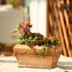 Succulents hoa mới chậu hoa bình hoa phong cách châu Âu Địa Trung Hải loạt bàn gốm giải trí - Vase / Bồn hoa & Kệ Vase / Bồn hoa & Kệ
