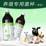 [Например, бактерии для размножения золота] EM Coarse Feed Formed Formented Lortue Formented Fermented Fermation Agent для ферментации для ферментации