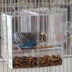CAITEC American Foraging Paradise Parrot Bird Hộp chống rắc chim Bảo vệ thực phẩm tỉnh Làm sạch Vẹt cung cấp Nhỏ - Chim & Chăm sóc chim Supplies Chim & Chăm sóc chim Supplies