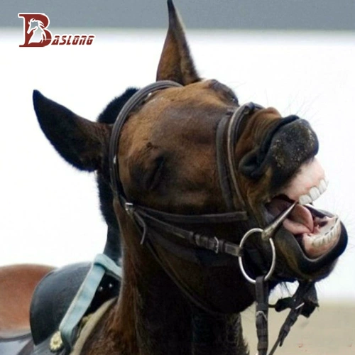 Перекрестные хворы жевание (нержавеющая сталь o -тип коня Читул железо (британский) во рту утюг и маленький лошадь универсальный рот