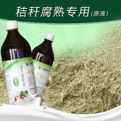 [Такие как золотая соломенная гнилая эм бактерии] Столк гнили