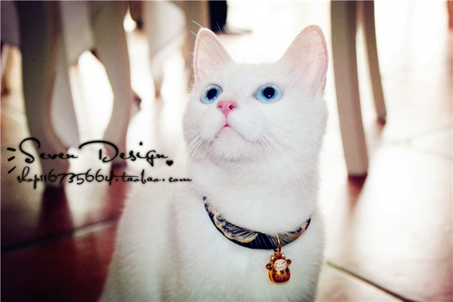 Японский чокер ручной работы, аксессуар, колокольчик, чайная чашка, домашний питомец, кот, на удачу