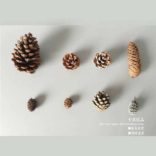 Zakka 澶 澶 澶 ╃ 劧 劧 庡  鏋滃 瓙鏉 鏋滃 灉鏉 灉鏉  忔 忔 鑺 濋 濋 ㈠ 湥 湥 炴灉 愭 镦 ч ч 鍏 鍏 鍏