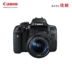 Canon Canon EOS750D SLR Kit EF-S18-55STM Trao đổi cho Cửa hàng Vô Tích - SLR kỹ thuật số chuyên nghiệp giá máy ảnh SLR kỹ thuật số chuyên nghiệp