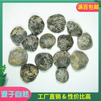 Haoyu Stone Natural Cavel Caven Beip Shell Shell Seplic Specification Ученик показывает плохое валентность для плохих окаменелостей