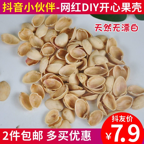 Douyin Happy Fruit Shell Disemade Diy Dry Flower Material Декоративная картина