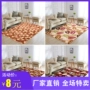phòng khách thảm phòng ngủ đầy đủ các cửa hàng san hô lông cừu chăn thảm phòng dễ thương bàn cà phê giường sofa tatami hình chữ nhật - Thảm giá thảm trải sàn