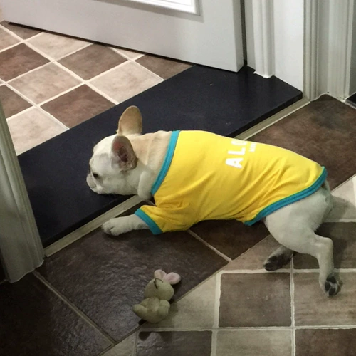 Собака и кошачья одежда тонкий стиль лис жилет плюшевый шнаузер Сумка собака домашнее животное летняя хлопковая футболка Corgi