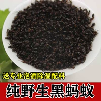 Дикие черные муравьи сухой 500 г подлинное специальное здоровье традиционные китайские медицины пузырьки