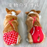 Физиологические штаны для собак, сука, менструальные штаны Корки, тетя, мелкие брюки по защите безопасности, чтобы предотвратить преследование контрацепции и спаривания