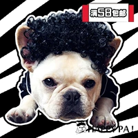 HPS Pet Dog Wig Wig Cat Смешные ювелирные украшения, сражение, восемь братьев, продающих милые псевдо -гарнитуры, трансформеры для домашних животных