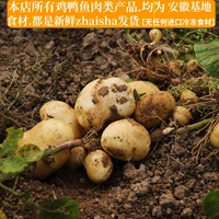 Новая картофельная картофель свежие сельскохозяйственные продукты Фермерские картофельные кампания по приправе