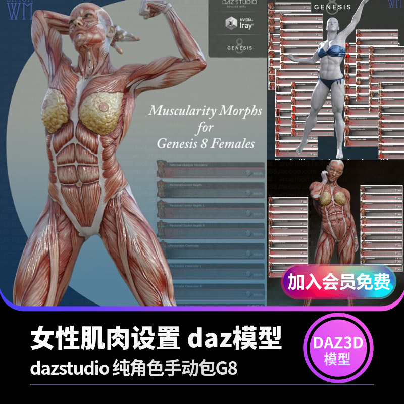 女性肌肉设置 daz模型纯角色手动包G8素材dazstudio-cg男孩