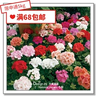 Семена семян цветов*голландский SG*Geranium*Special Series 5 виды зерновых пленок