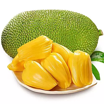 现摘发货海南三亚黄肉菠萝蜜应季热带水果