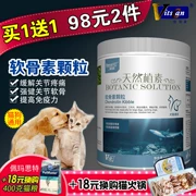 2 miếng 98 chondroitin gấp hạt mèo mèo mèo khớp Kang canxi canxi viscon cá mập chondroitin 300g - Cat / Dog Health bổ sung