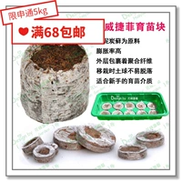 Юансианская Норвегия Джиффи Саженцы?