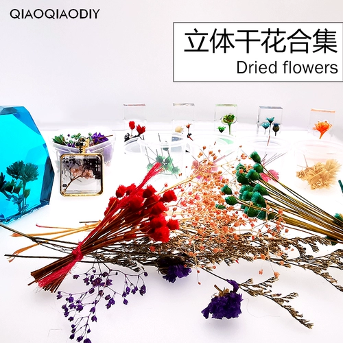 Qiaoqiao diy crystal platinium cubs сухой цветок