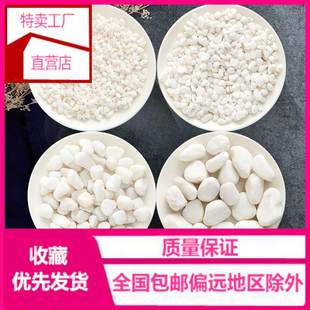 Flute Mobilin Natural Stone Rainstone White Stone White Stone White Stone Potted Plant Plant Mes. Paper 4
