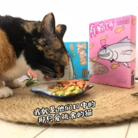 Patonor Cat Parddy Biscuits 100g с кошачьим пирожным кот кот бисквиты мятный тунец тунец
