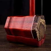 Morion molien mahogany erhu handmade da lộn người mới bắt đầu 7 thực hành nhạc cụ quốc gia - Nhạc cụ dân tộc