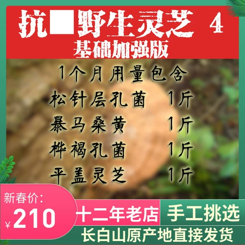 Чанбайская гора Чистое естественный дикий ганодерма шелковидный туфли