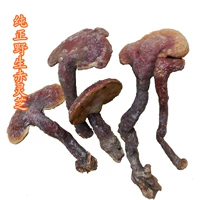 Wild Chi Zhi Wild Ganoderma lucidum Осуренные целые ветви чисхи без срезов 45 Yuan 250 Грамм