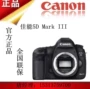 máy ảnh kỹ thuật số Canon Canon 5D3 kit 70-200mm F2.8L SLR 5D4 1DX2 5DMarkIII - SLR kỹ thuật số chuyên nghiệp giá máy ảnh canon