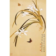 Su thêu DIY người mới bắt đầu bộ hoa phong lan và thêu chim gửi hướng dẫn không thêu tranh thêu tự học