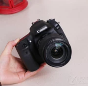 Máy ảnh DSLR tầm trung 18-135mm 70D độc lập của Canon Canon được cấp phép Authentic - SLR kỹ thuật số chuyên nghiệp