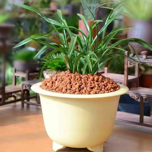 Хонгьюанский цветок фиолетовый песчаный горшок Dalfen Golden Bell Basin Basin Бесплатная доставка Новый китайский мягкий бассейн