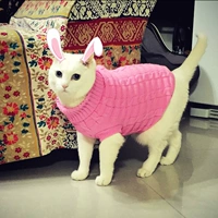 Демисезонная одежда, свитер, в корейском стиле