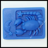 AI008 Scorpio DIY handmade xà phòng công cụ silicone khuôn 12 chòm sao bán hàng trực tiếp các loại khuôn làm bánh