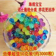 Crystal Mud Sponge Baby Raising Hoa đầy màu sắc Crystal Crystal Hạt cung cấp thủy canh Mud 3000 viên nang - Nguồn cung cấp vườn