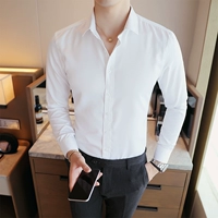 Осенняя белая рубашка для отдыха, комбинезон, длинный рукав, в корейском стиле