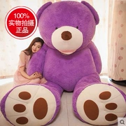 Đồ chơi vải Mỹ Big Bear Siêu đồ chơi Teddy Bear Girl Hug Bear 1.6 mét Plush 1.8 Buwa