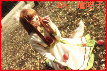 taobao agent Love cos wolf and spice wolf Hero COS