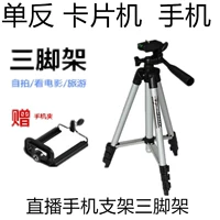 TF-3110 phù hợp cho máy thẻ máy ảnh kỹ thuật số SLR camera nhỏ điện thoại chân máy tripod - Phụ kiện máy ảnh DSLR / đơn chân đế máy ảnh
