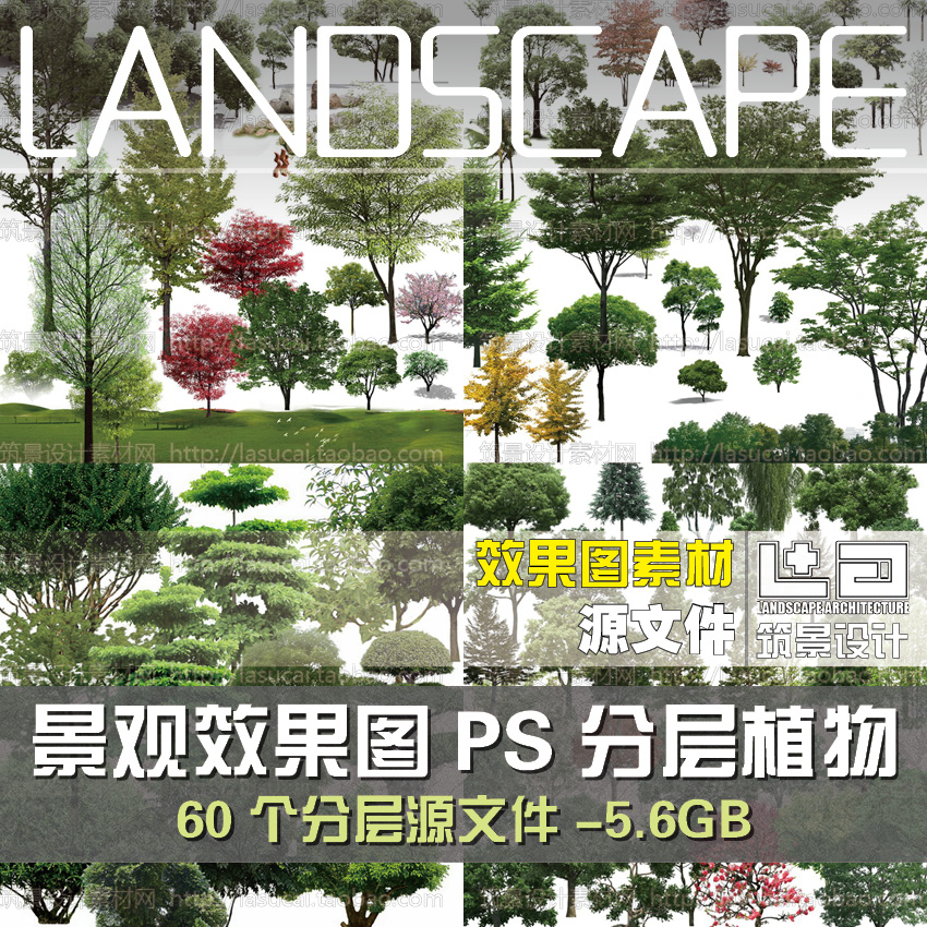 R435景观ps效果图分层立面素材植物树psd资料园林乔灌木绿-1