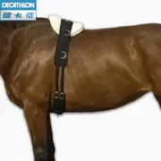 Đào tạo ngựa cinch thực hành cinch phù hợp với một loạt các reins cưỡi ngựa thể thao fouganza