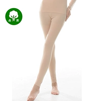 Bà Modal cotton siêu mỏng cơ thể cá nhân mỏng nền tảng quần dòng dưới cùng quần mảnh duy nhất phần mỏng quần ấm mùa thu và mùa đông quần legging hàn quốc