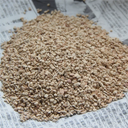 Сочные растения сажающихся почвы диатоме