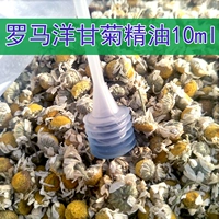 Tinh dầu hoa cúc La Mã 10ml da khô sần sùi đến đỏ phớt đỏ nhạy cảm đỏ da đơn phương không gây dị ứng - Tinh dầu điều trị tinh dầu mộc nhiên